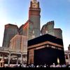 kameszayed8