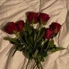 rahaf25977