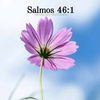 365delicias