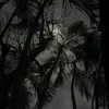 hxnnah_9