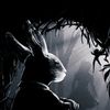 rabbit_hole_seeker