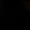 starrra_a