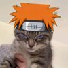 yohan_oli974