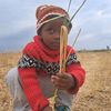 jumaotigo1