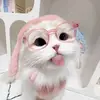 danzbocil8
