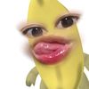 chysaslvna_