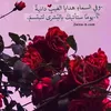zahra__gi