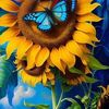 ana.vilma.lpez