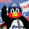 schumi_akb