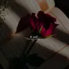 sa1_kh
