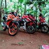 muhamadroy77