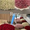 rosemahamatt