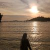 selvii_1011