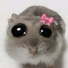 sarahmohmed114