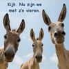 vrolijkevrans