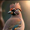 charkaouihabib209