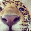 smrithi_..1