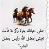 mhsay__2008