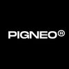 Pigneo