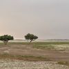 addel694