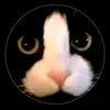 sally_does_not.exist_