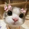 ._daniela47