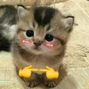 khlie_01