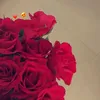kimy