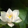 userhyo3743fz1