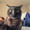 Sabrinna_Takeushi