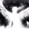 user3132231998