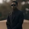 zepeck_inhio