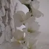 parvatisexy