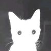 chashka_coffeee