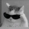 leonskie_45