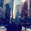 userx81jcpg3pt