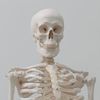 skeletenman