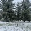 soumaya399
