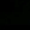 _nopall06