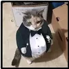 piriquiru