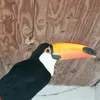 javier_617.0