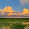 hoanghanle6