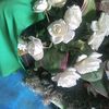 user9409112752445