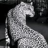 .hanane113