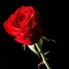 mohmalik570
