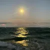 ana_dcsov
