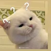 ngockhanh2k32