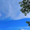 arsyilla0827