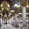 ikrima.thalib