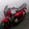 dimasanggo21